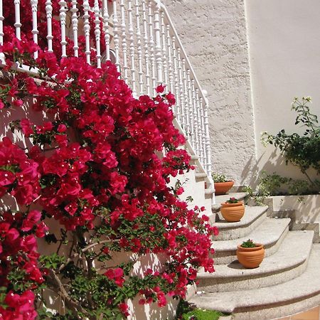 Apartamentos Maritimo Suites-Solo Adultos О Грове Екстериор снимка